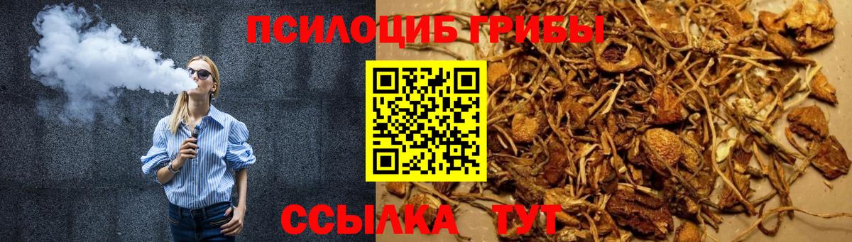 Галлюциногенные грибы ЛСД Алапаевск